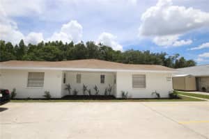 3253 Bloomingdale Villas Ct, BRANDON