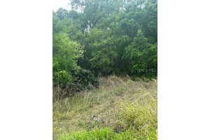 811 Henry St, LAKE WALES
