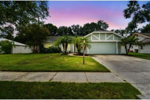 9203 Regents Park Dr, TAMPA