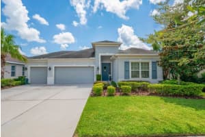 17659 Bright Wheat Dr, LITHIA