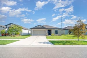 808 Chatham Walk Dr, RUSKIN
