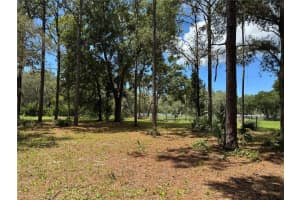 15330 Tuckaway Ln, SPRING HILL