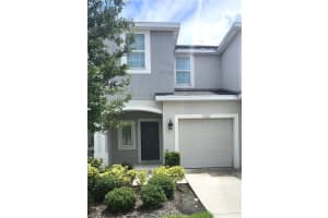2322 Alee Ln, WESLEY CHAPEL
