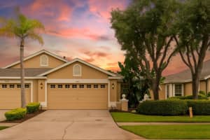 19128 Lake Audubon Dr, TAMPA