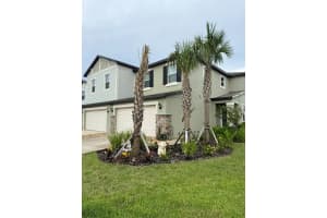 32142 Spiceberry St, SAN ANTONIO