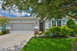 11890 Frost Aster Dr, RIVERVIEW