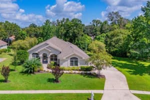 6022 Kestrel Point Ave, LITHIA