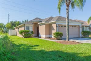 31436 Triborough Dr, WESLEY CHAPEL