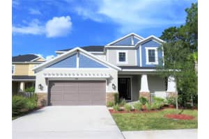 8811 Citrus Palm Dr, TAMPA