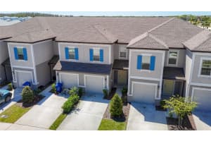 31771 Blue Passing Loop, WESLEY CHAPEL