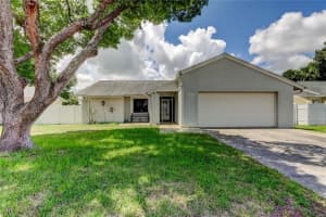 11010 Wingate Dr, TAMPA