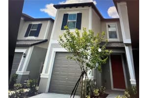 31611 Blue Passing Loop, WESLEY CHAPEL