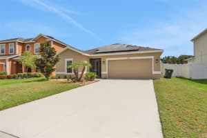 11338 Leland Groves Dr, RIVERVIEW