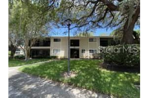 6004 Laketree Ln #d, TEMPLE TERRACE