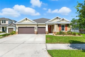 7063 Talamore Dr, WESLEY CHAPEL