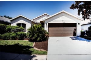 11413 Mountain Bay Dr, RIVERVIEW