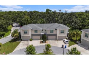 12823 Sanctuary Vista Trl, TAMPA