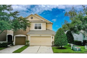 4815 Pond Ridge Dr, RIVERVIEW