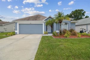 11124 Bramblebrush St, TAMPA