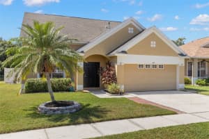 6619 Summer Cove Dr, RIVERVIEW