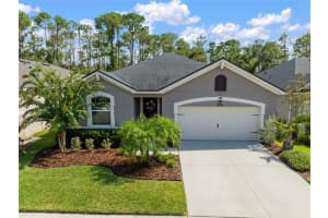 13223 Baby Belle Dr, RIVERVIEW