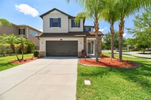 29267 Perilli Pl, WESLEY CHAPEL