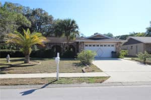 2848 Rustic Oaks Dr, PALM HARBOR