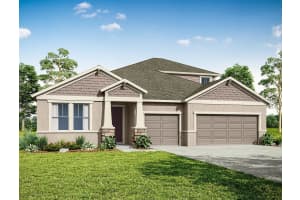 12309 White Blossom Ct, PARRISH