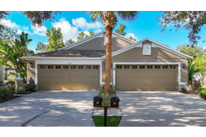15733 Phoebepark Ave, LITHIA 15733 Phoebepark Ave, LITHIA