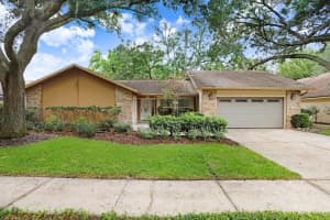 1040 Sylvia Ln, TAMPA