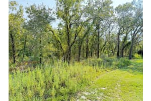 11096 Marsh Wren Ave, WEEKI WACHEE