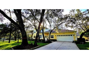 2175 Oak Forest Ln, PALM HARBOR