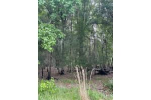 0 Palamino Lake Dr, DADE CITY