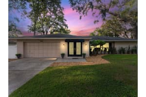 1005 Samy Dr, TAMPA