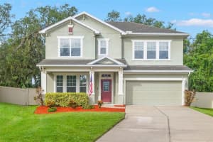 3546 Brook Crossing Dr, BRANDON