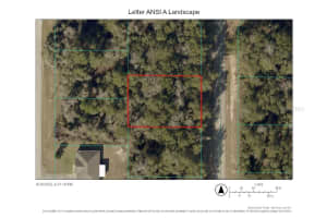 Tbd Sw 19th Avenue Rd, OCALA