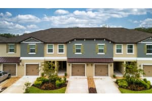 10989 Wishing Cloud Rd, LAND O LAKES