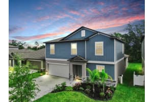 13286 Peachleaf Ave, RIVERVIEW