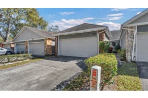 1746 Castle Rock Rd, TAMPA