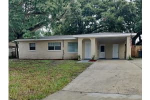 3010 E Jean St, TAMPA