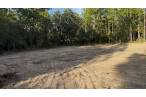 16072 Marsh Quail Rd, WEEKI WACHEE