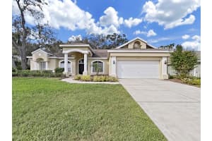 3307 Kilmer Pl, PLANT CITY