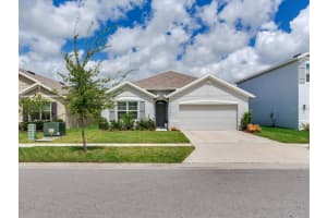 5539 Wandering Willow Dr, WESLEY CHAPEL 5539 Wandering Willow Dr, WESLEY CHAPEL