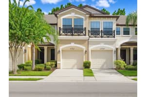 11722 Crowned Sparrow Ln, TAMPA
