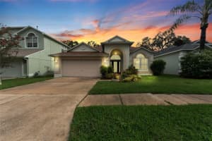 7743 Bingham Ct, TAMPA
