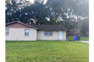 12007 Homerville Lane, SEFFNER