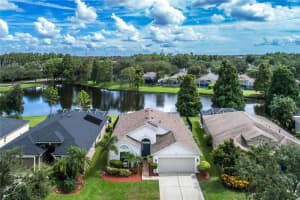 9912 Stockbridge Dr, TAMPA