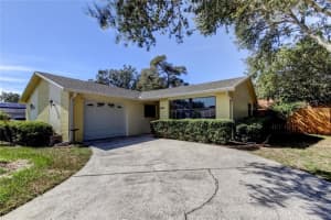 1404 Castleworks Ln, TARPON SPRINGS