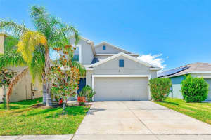 10245 Boggy Moss Dr, RIVERVIEW