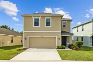 16121 Soft Fern Trace, ODESSA